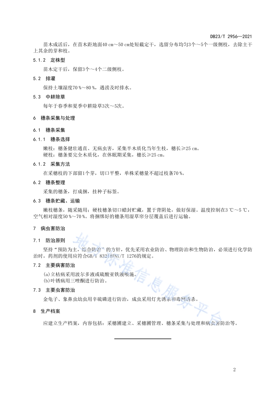 白桦采穗圃营建技术规程DB23／T 2956—2021.pdf_第4页