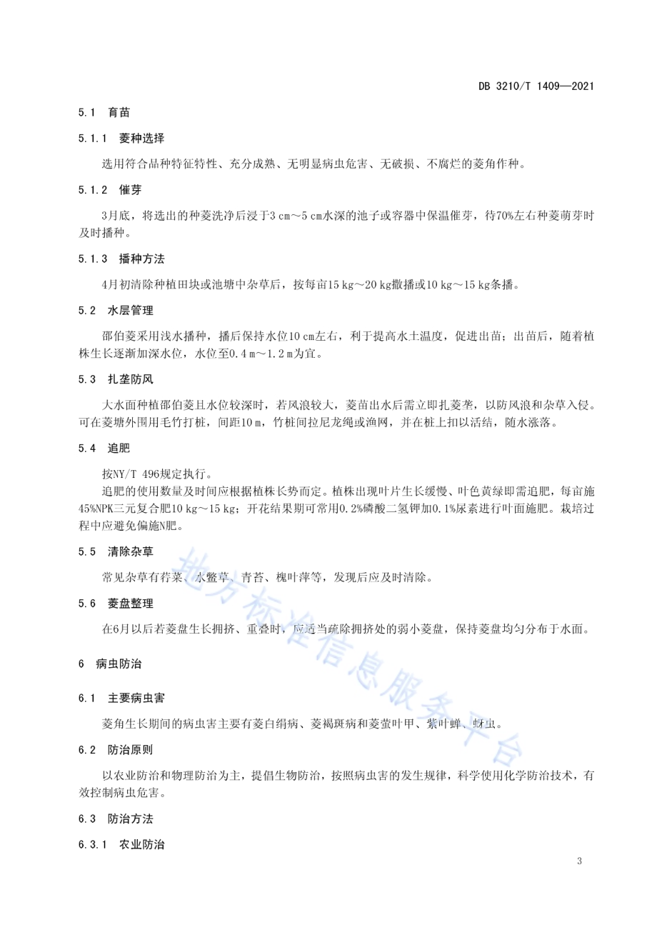 邵伯菱栽培技术规程DB3210／T 1409-2021.pdf_第4页