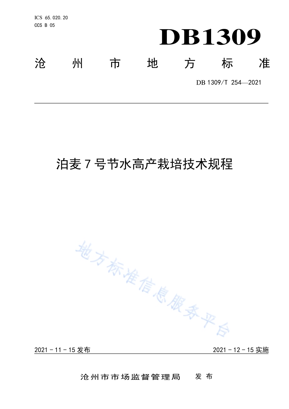 泊麦7号节水高产栽培技术规程DB1309／T 254-2021.pdf_第1页