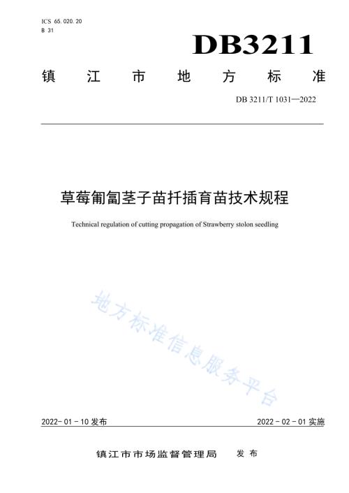 草莓匍匐茎子苗扦插育苗技术规程DB3211／T 1031-2022.pdf