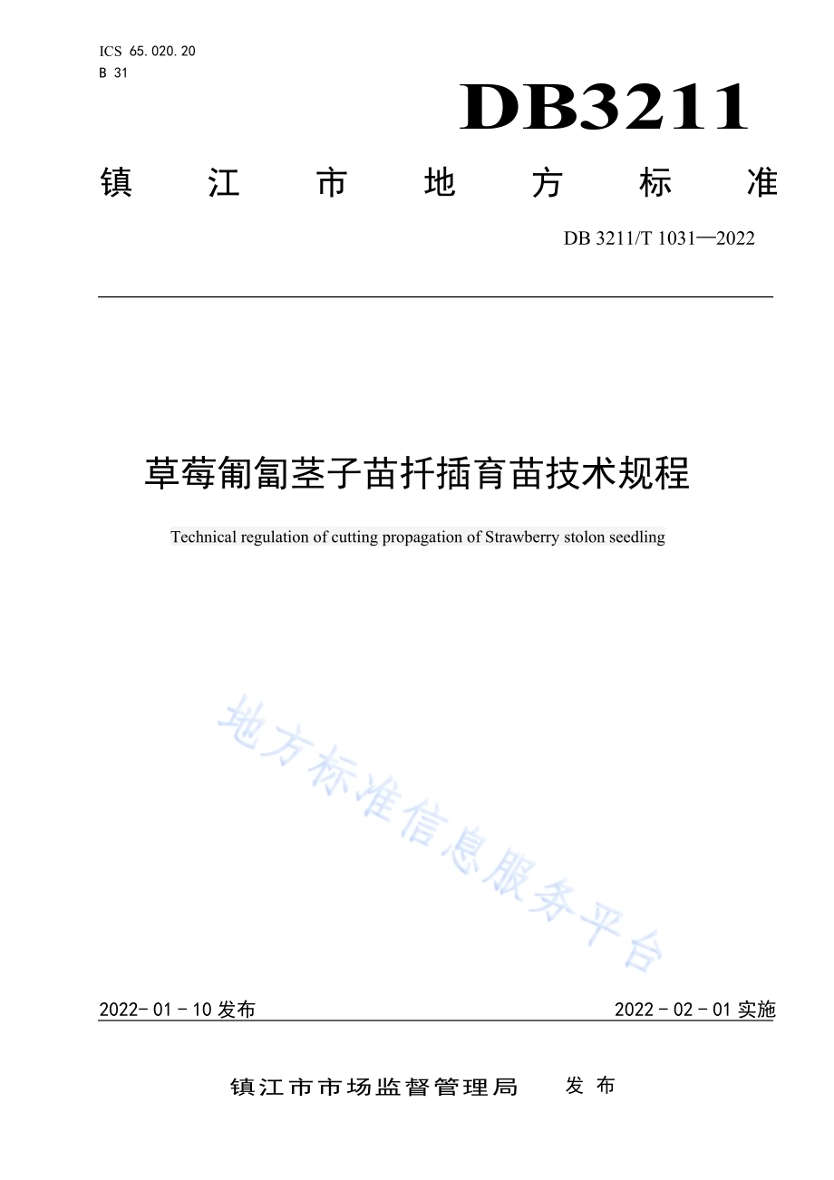 草莓匍匐茎子苗扦插育苗技术规程DB3211／T 1031-2022.pdf_第1页