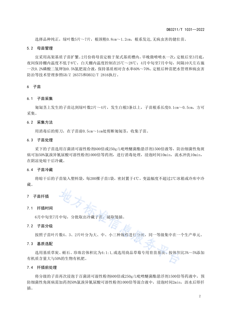 草莓匍匐茎子苗扦插育苗技术规程DB3211／T 1031-2022.pdf_第4页