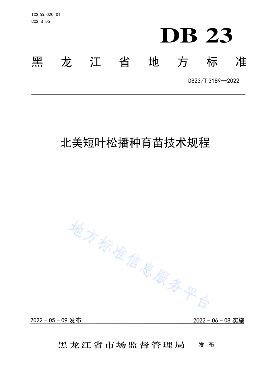 北美短叶松播种育苗技术规程DB23／T 3189—2022.pdf_第1页
