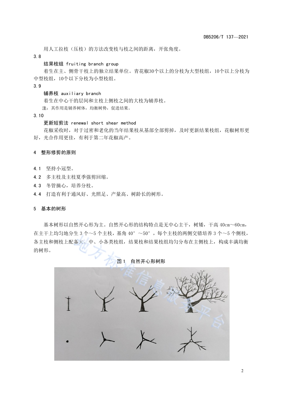 花椒整形修剪技术指南DB5206／T 137—2021.pdf_第5页