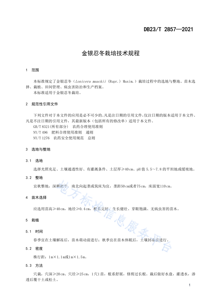 金银忍冬栽培技术规程DB23／T 2857—2021.pdf_第3页