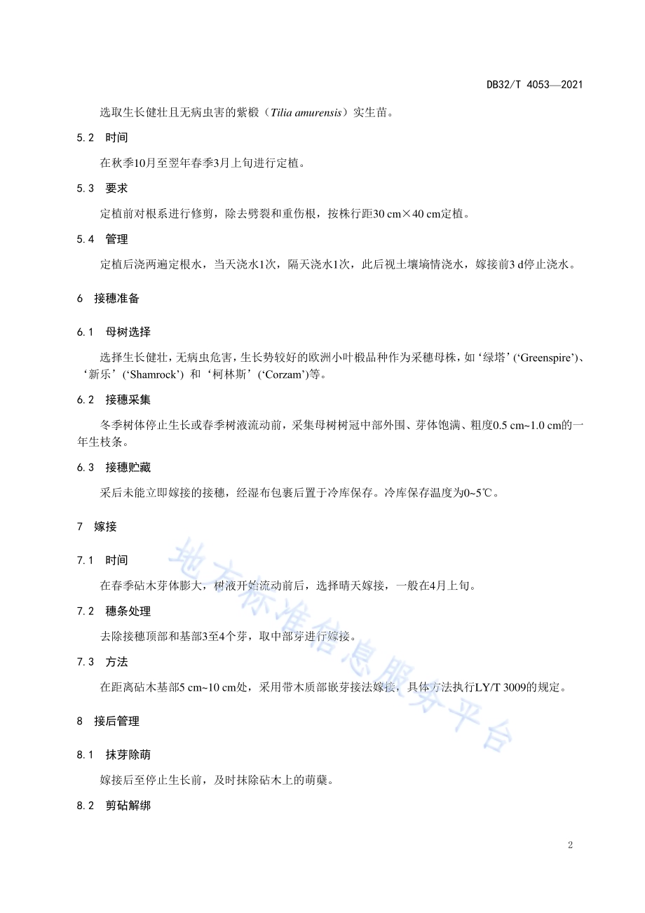欧洲小叶椴嫁接育苗技术规程DB32／T 4053-2021.pdf_第4页