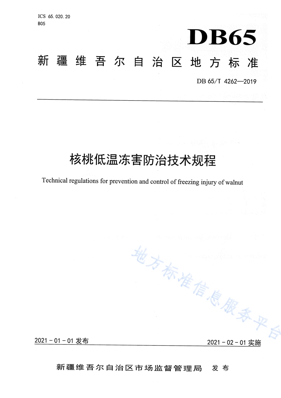 核桃低温冻害防治技术规程DB65／T 4262-2019.pdf_第1页