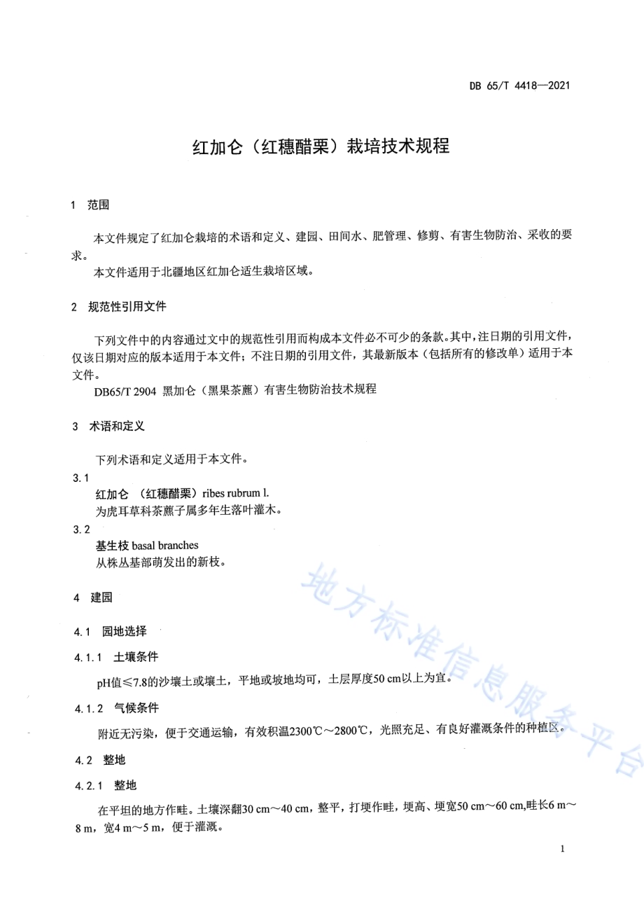 红加仑（红穂醋栗）栽培技术规程DB65／T 4418-2021.pdf_第5页