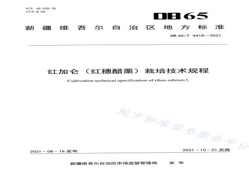 红加仑（红穂醋栗）栽培技术规程DB65／T 4418-2021.pdf
