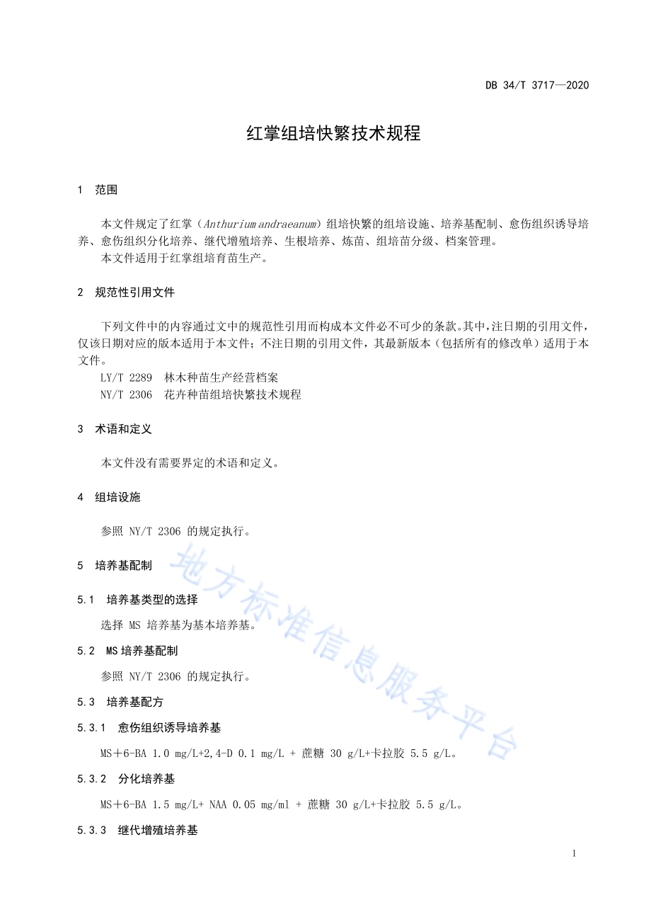 红掌组培快繁技术规程DB34／T 3717-2020.pdf_第5页