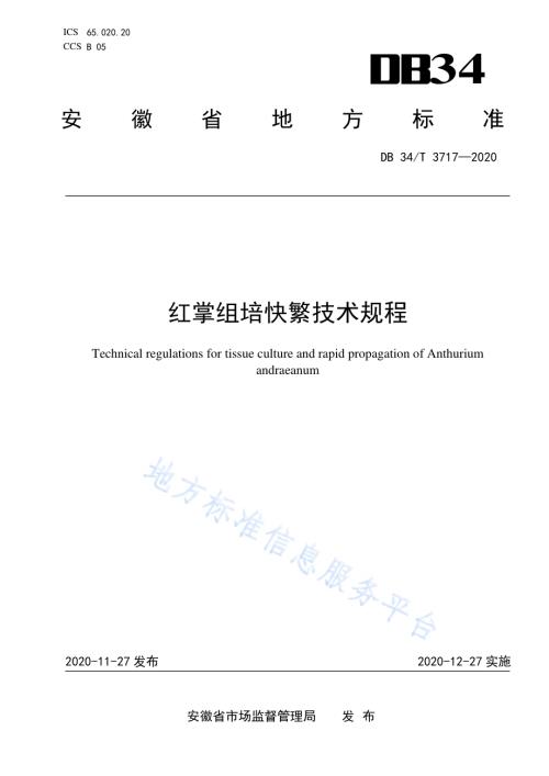 红掌组培快繁技术规程DB34／T 3717-2020.pdf