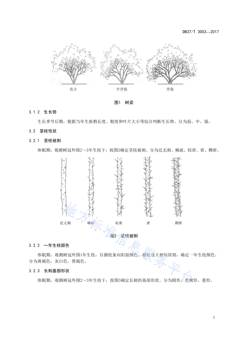 玫瑰野生种质资源鉴定评价技术规范DB37／T 3003-2017.pdf_第4页