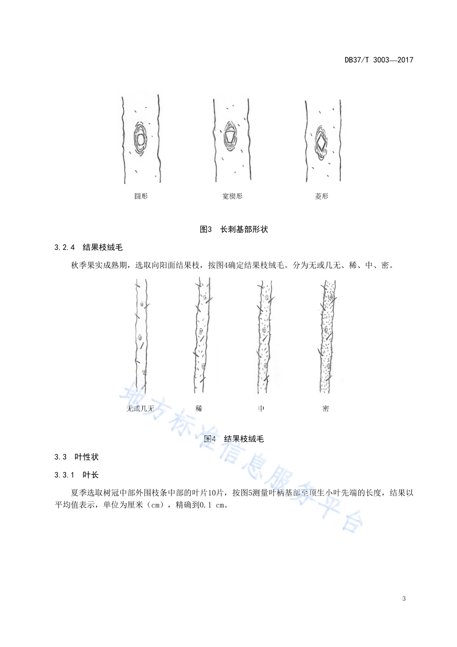 玫瑰野生种质资源鉴定评价技术规范DB37／T 3003-2017.pdf_第5页