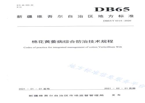 棉花黄萎病综合防治技术规程DB65／T 4314-2020.pdf