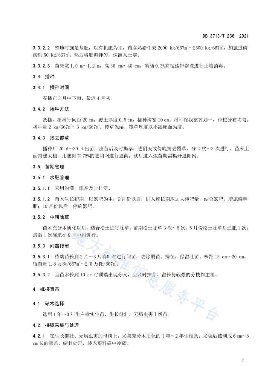 榉树苗木繁育技术规程DB3713／T 236-2021.pdf_第4页