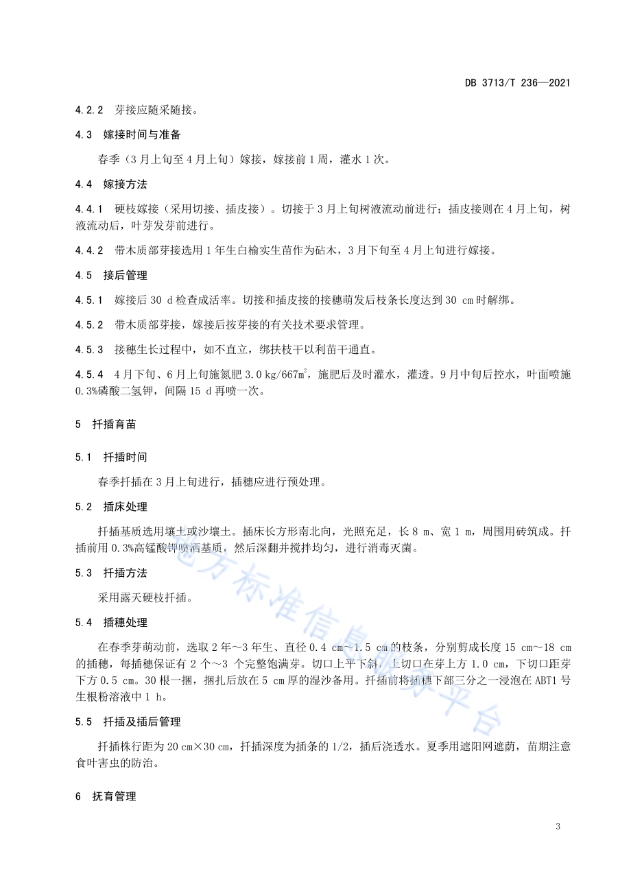 榉树苗木繁育技术规程DB3713／T 236-2021.pdf_第5页
