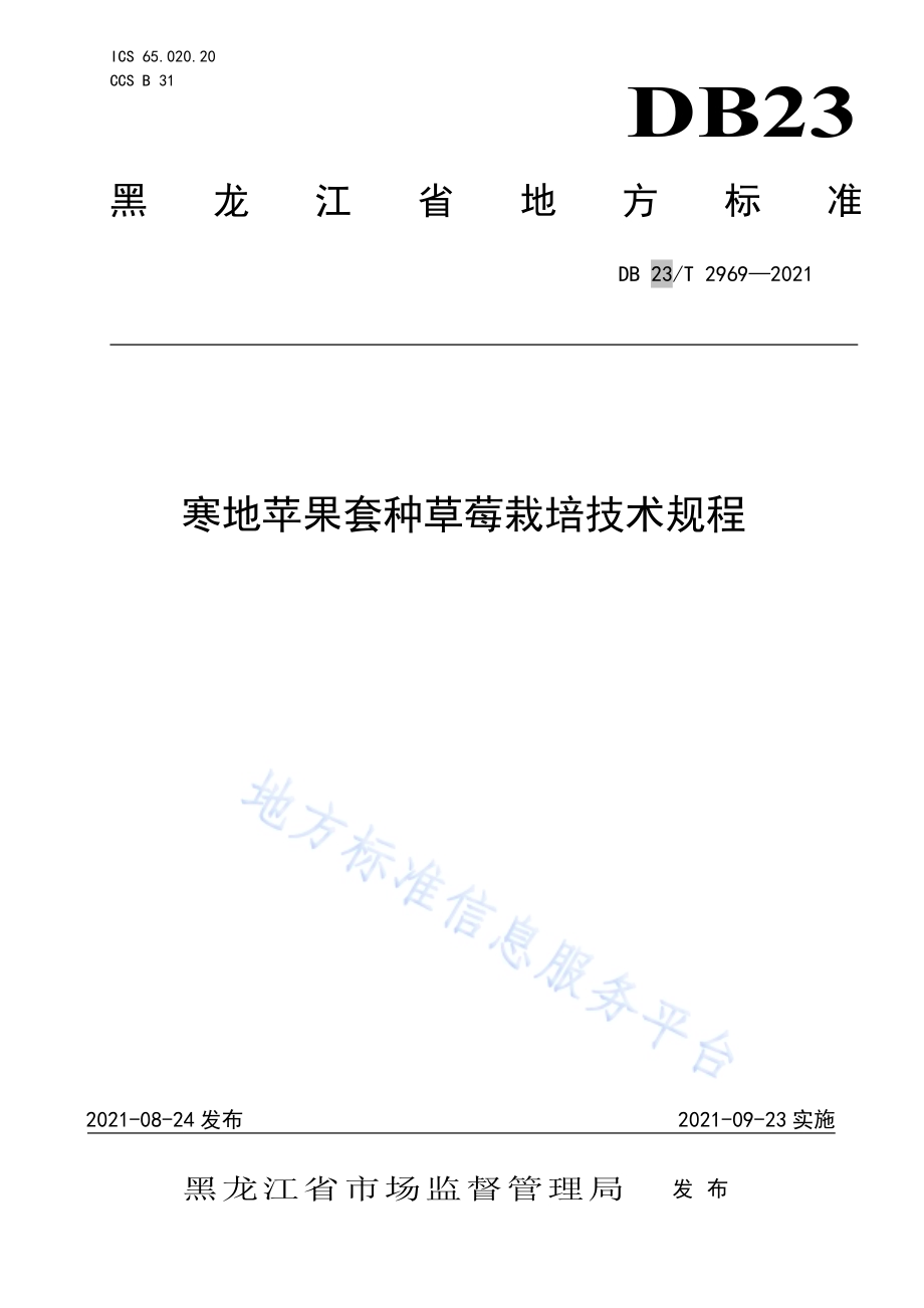 寒地苹果套种草莓栽培技术规程DB23／T 2969—2021.pdf_第1页