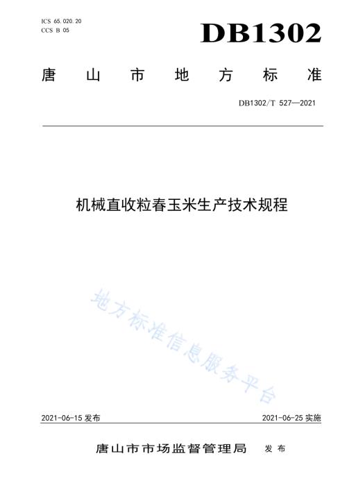机械直收粒春玉米生产技术规程DB1302／T 527-2021.pdf