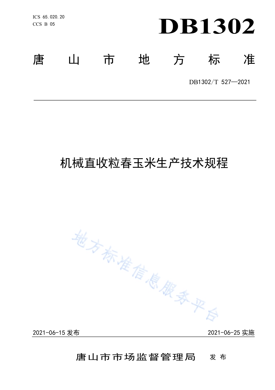 机械直收粒春玉米生产技术规程DB1302／T 527-2021.pdf_第1页