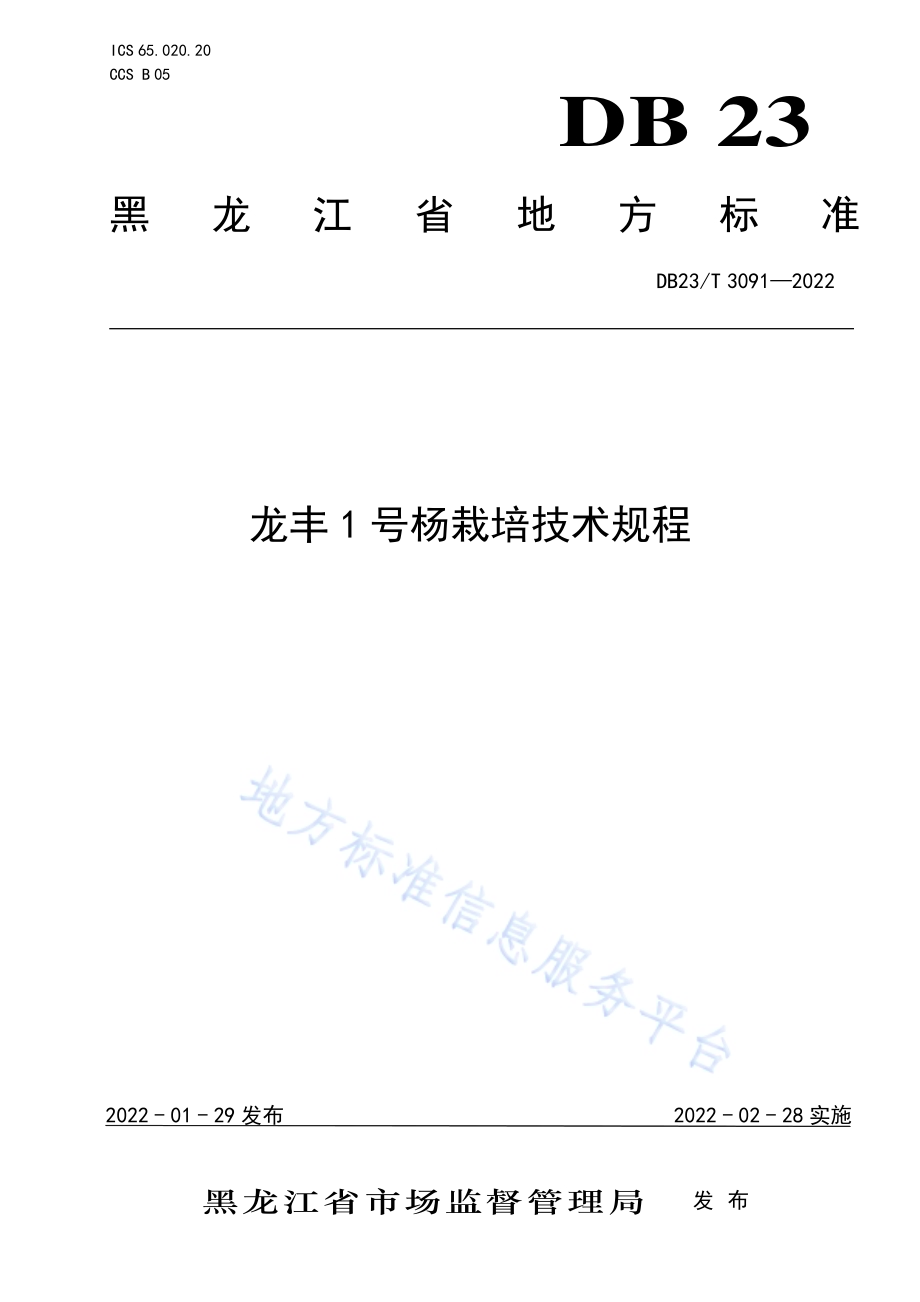 龙丰1号杨栽培技术规程DB23／T 3091—2022.pdf_第1页