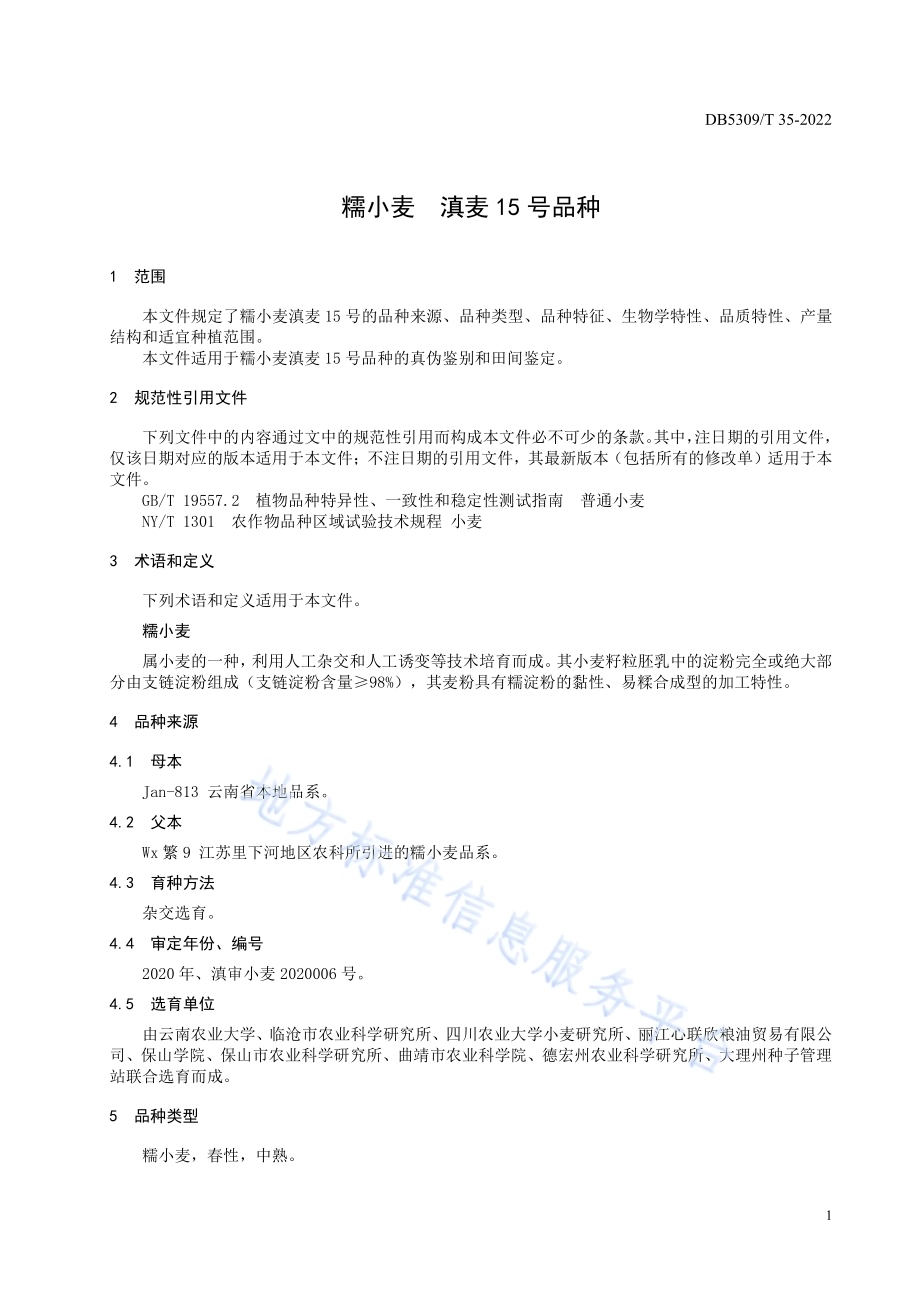 糯小麦 滇麦15号品种DB5309／T 35-2022.pdf_第5页