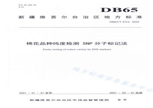 棉花品种纯度检测 SNP分子标记法DB65／T 4316-2020.pdf