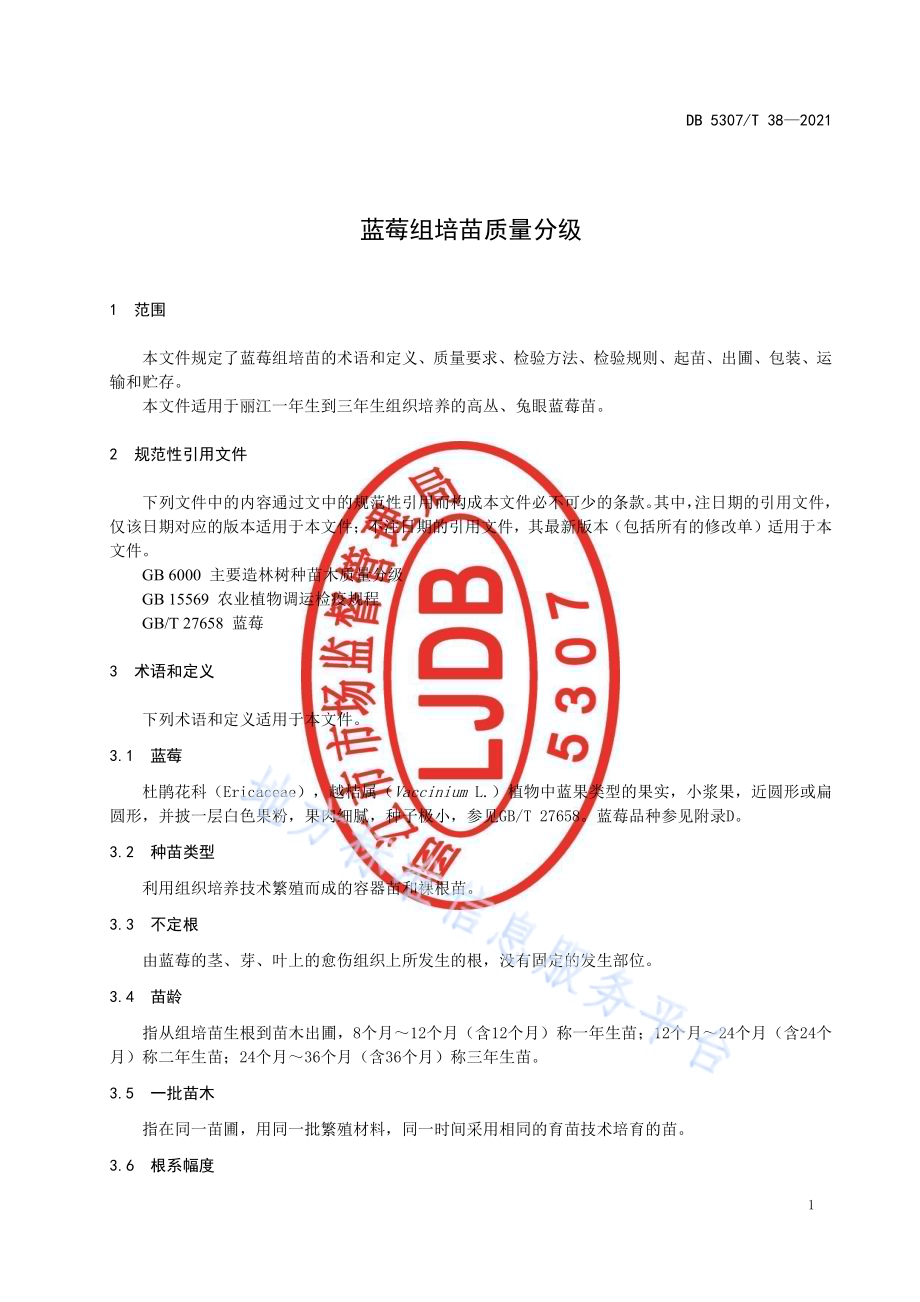 蓝莓组培苗质量分级DB5307／T 38-2021.pdf_第3页