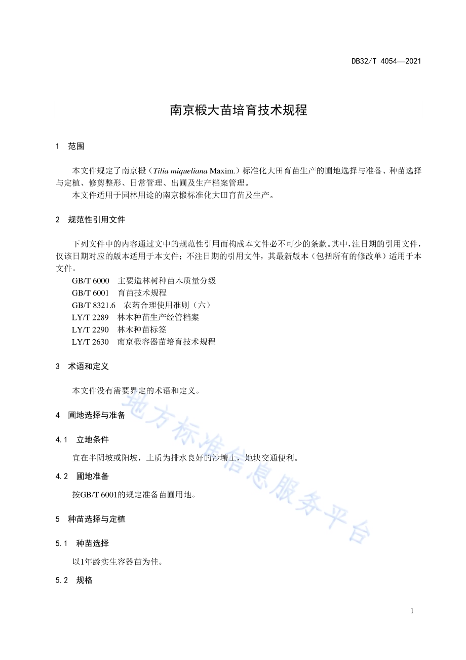 南京椴大苗培育技术规程DB32／T 4054-2021.pdf_第3页