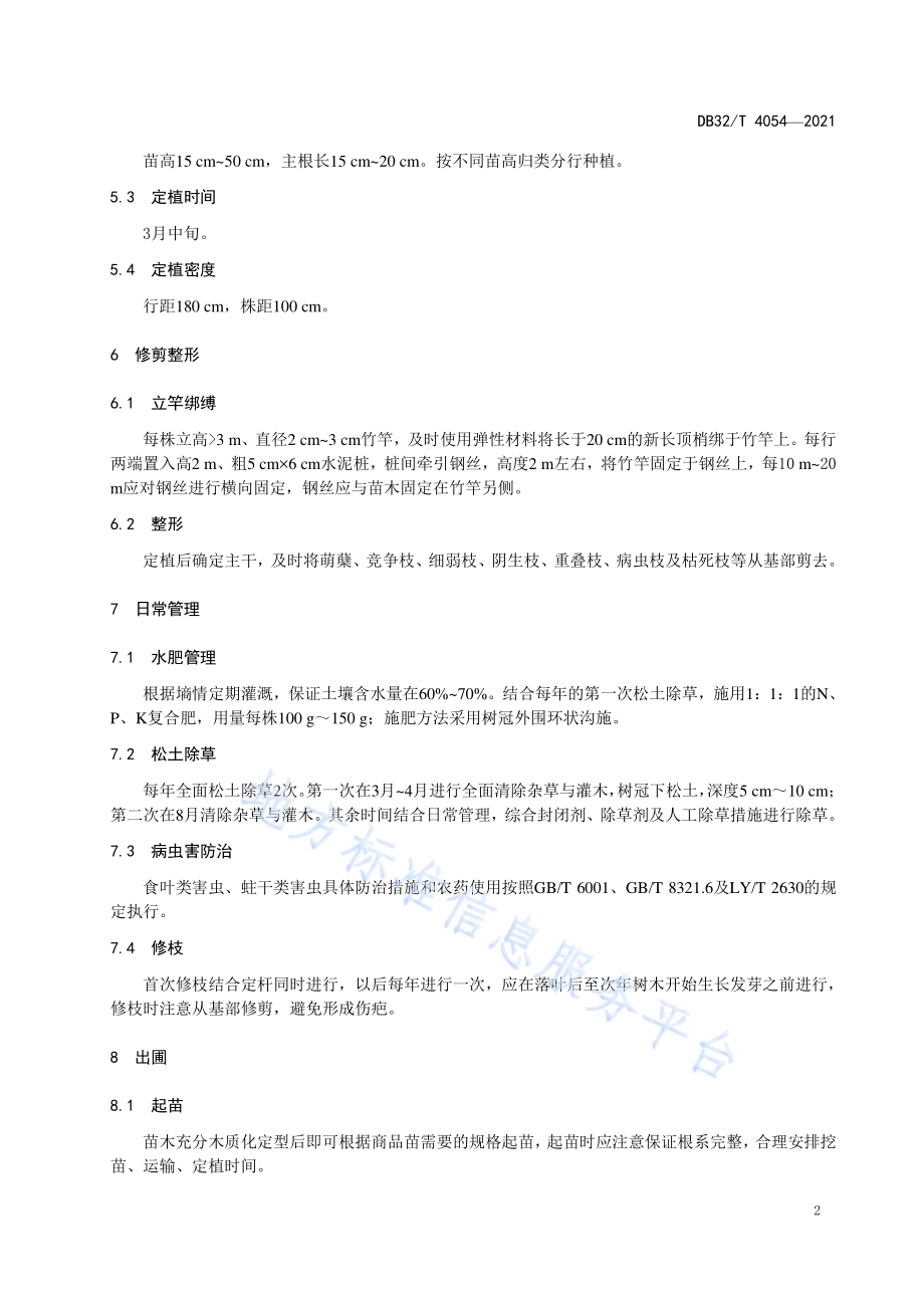 南京椴大苗培育技术规程DB32／T 4054-2021.pdf_第4页