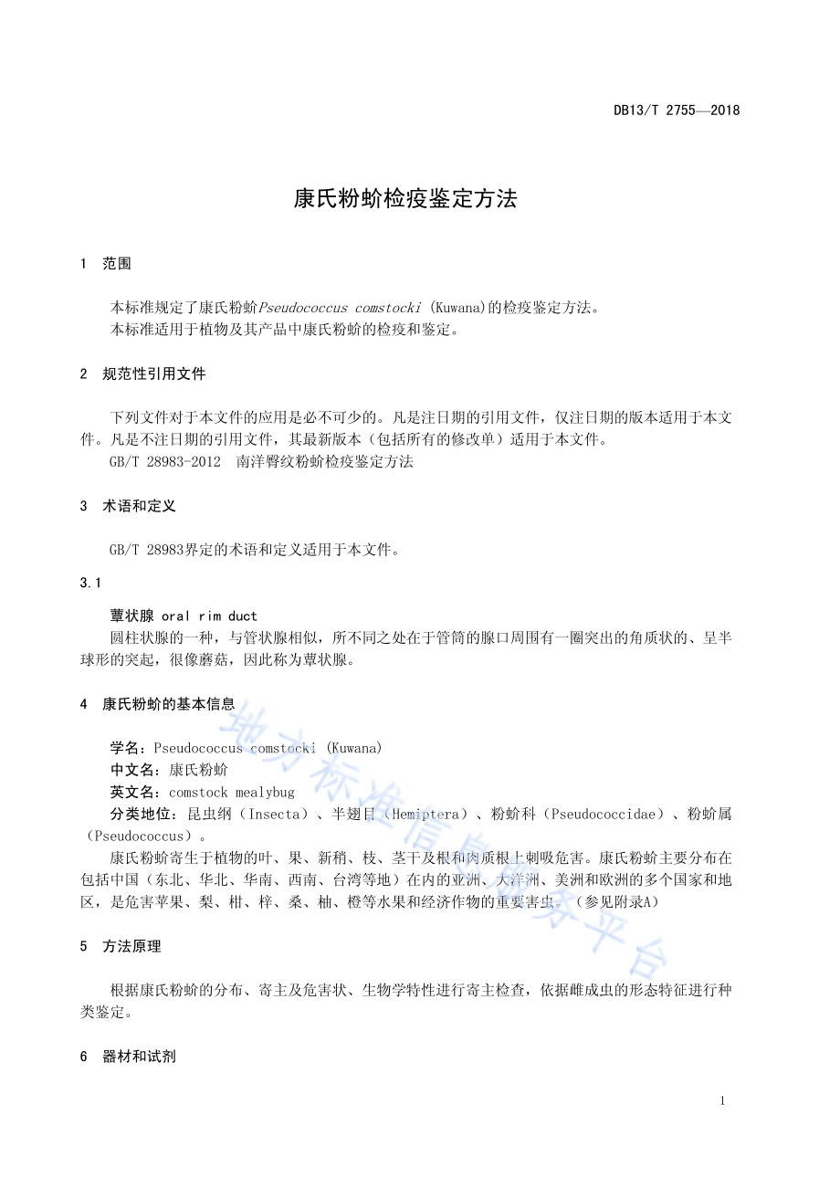康氏粉蚧检疫鉴定方法DB13／T 2755-2018.pdf_第5页