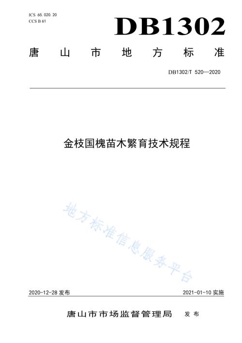金枝国槐苗木繁育技术规程DB1302／T 520-2020.pdf