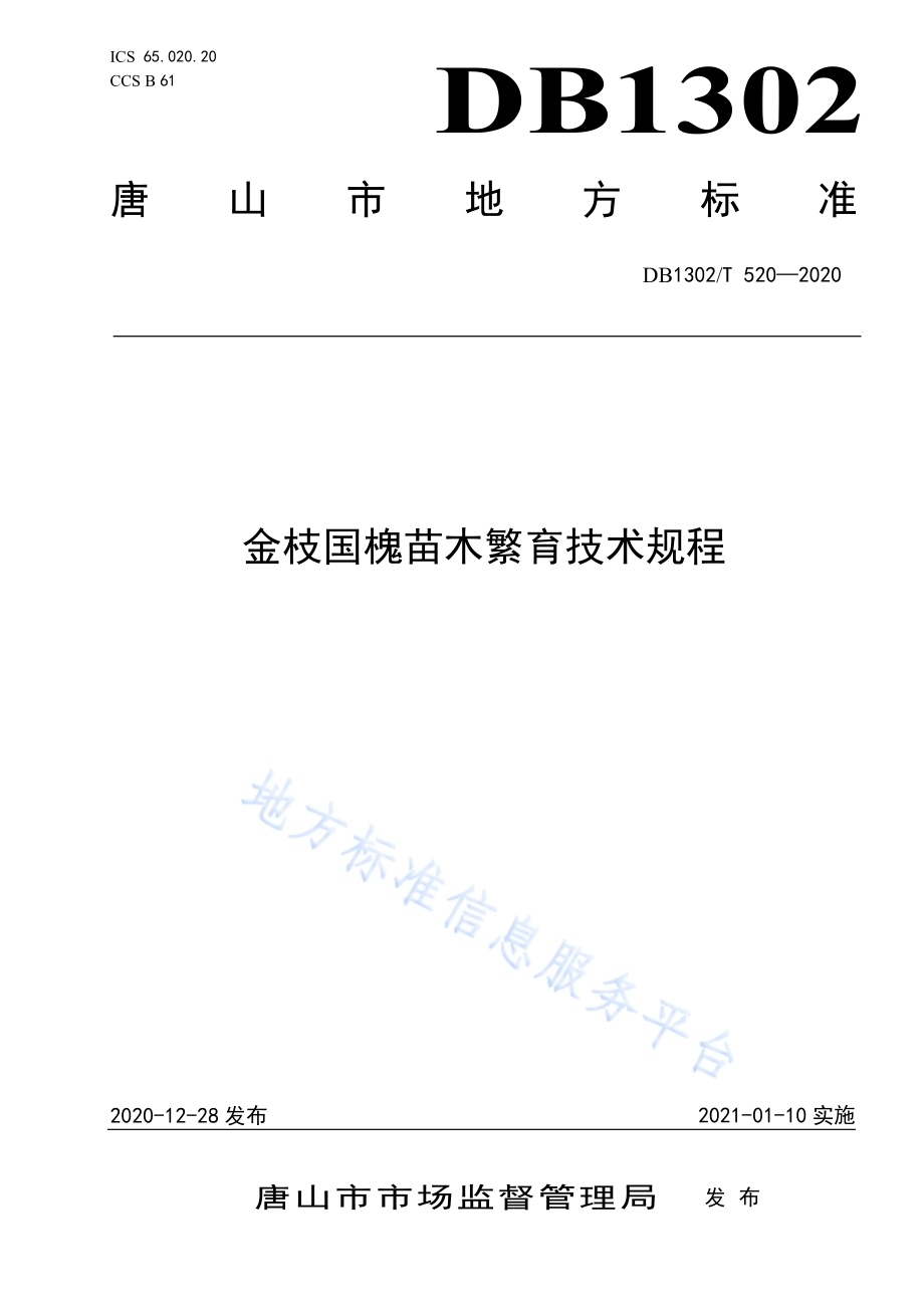 金枝国槐苗木繁育技术规程DB1302／T 520-2020.pdf_第1页