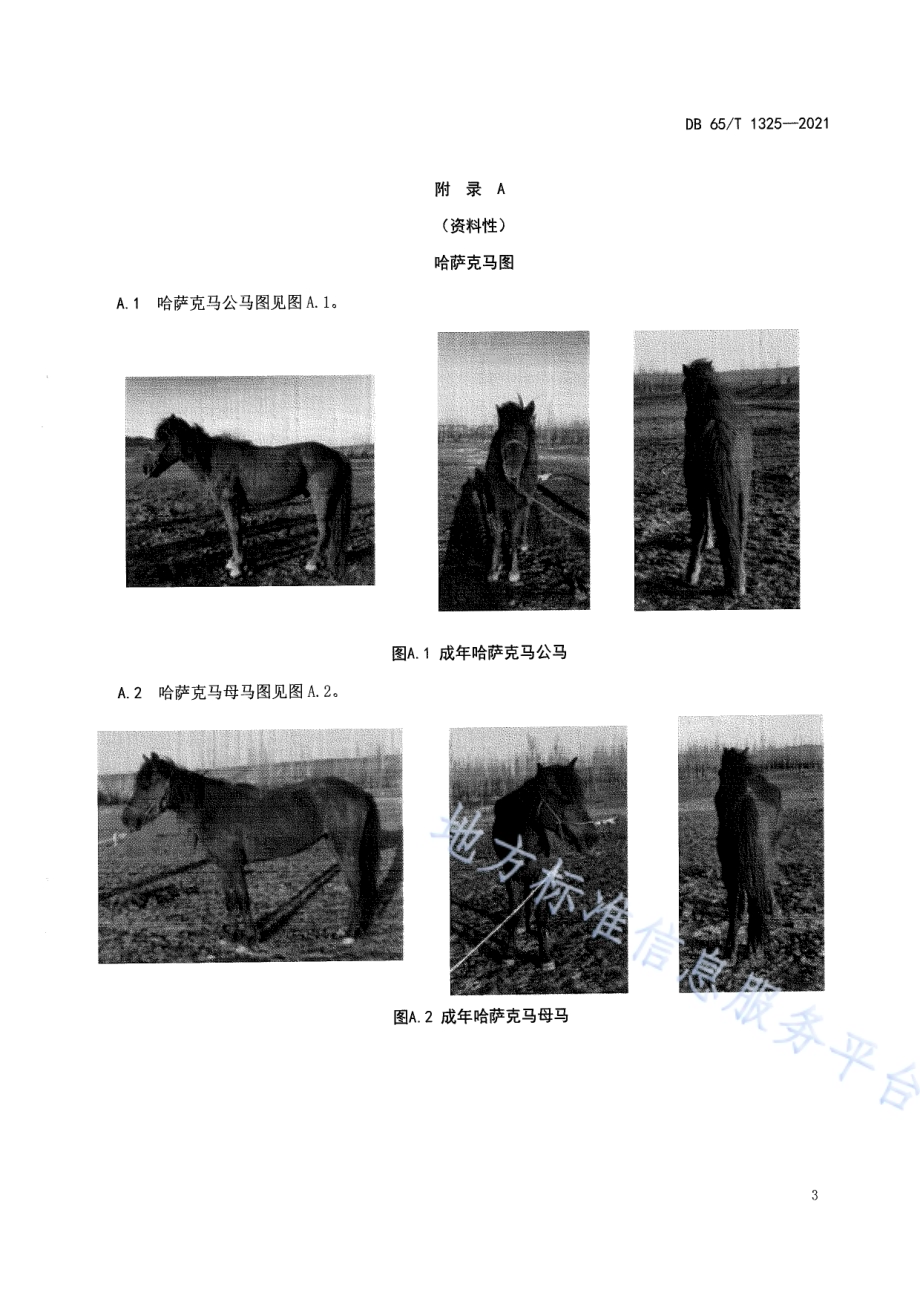 哈萨克马DB65／T 1325-2021.pdf_第5页