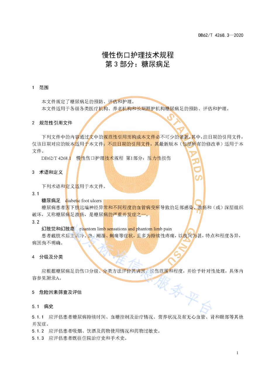 慢性伤口护理技术规程第3部分：糖尿病足DB62／T 4268.3-2020.pdf_第5页