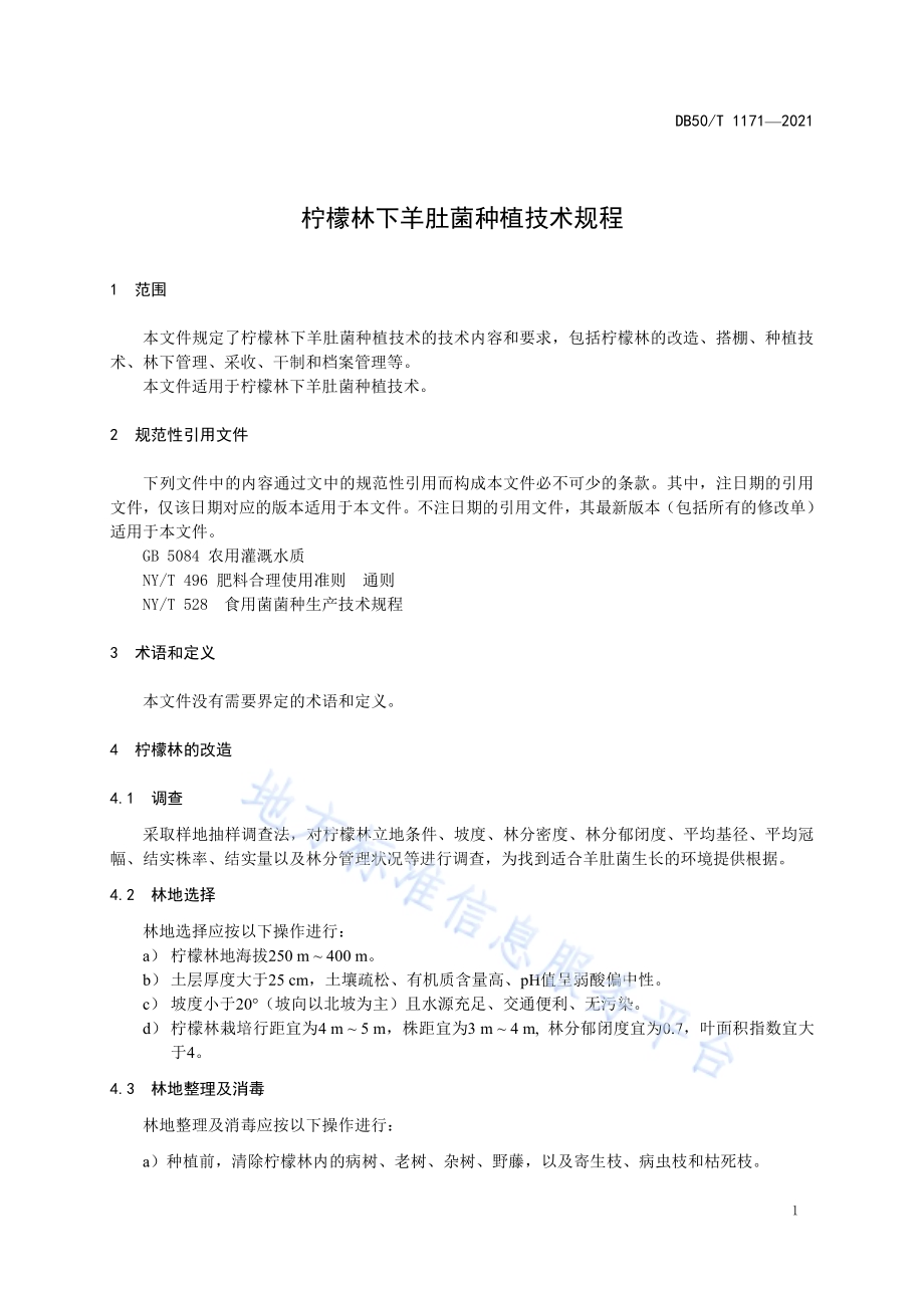 柠檬林下羊肚菌种植技术规程DB50／T 1171-2021.pdf_第5页