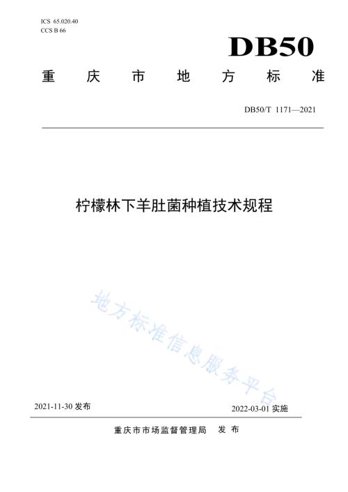 柠檬林下羊肚菌种植技术规程DB50／T 1171-2021.pdf