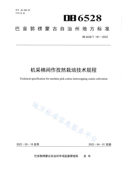 机采棉间作孜然栽培技术规程DB6528／T 181-2022.pdf