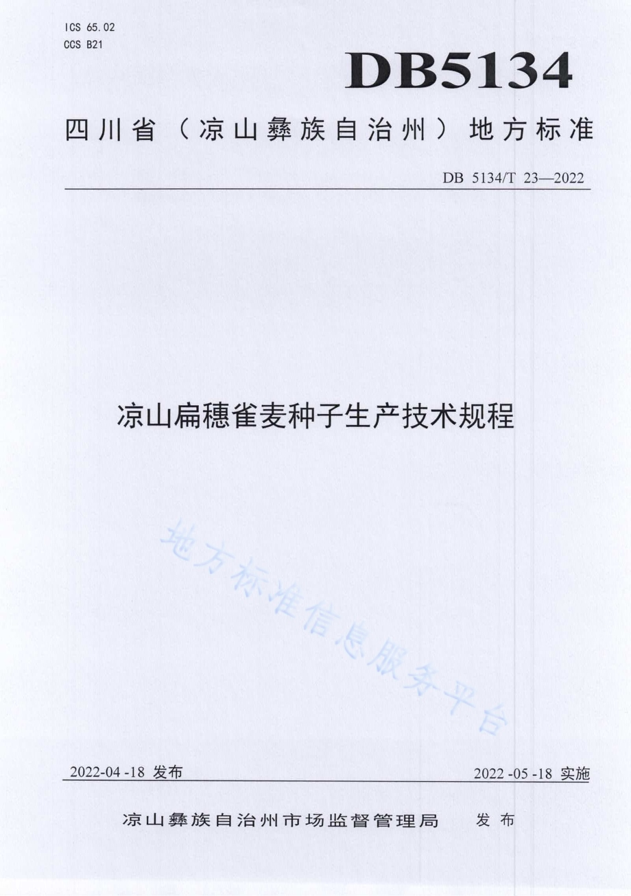 凉山扁穗雀麦种子生产技术规程DB5134／T 23-2022.pdf_第1页