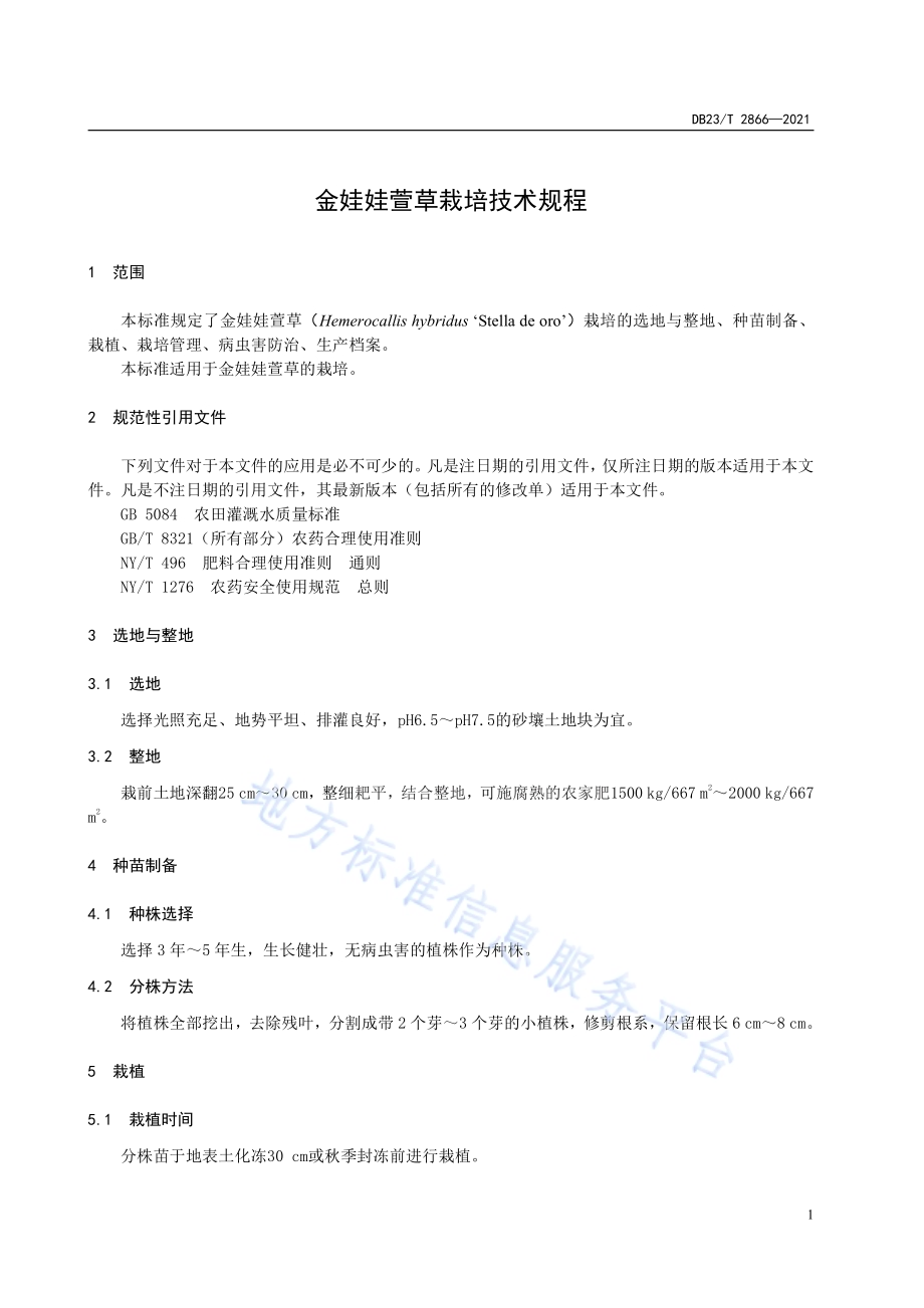 金娃娃萱草栽培技术规程DB23／T 2866—2021.pdf_第3页