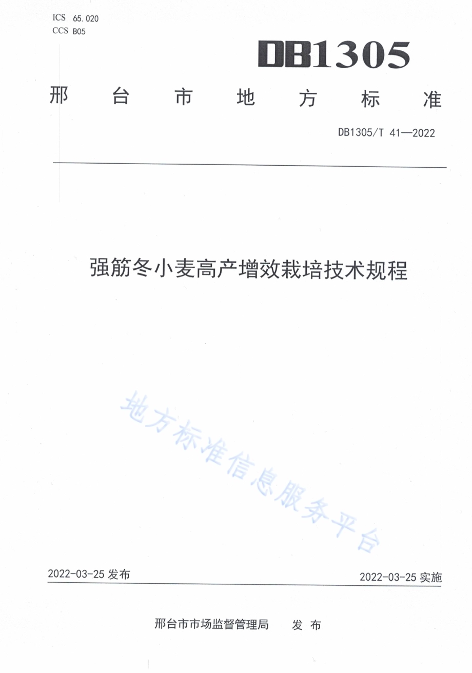 强筋冬小麦高产增效栽培技术规程DB1305／T 41-2022.pdf_第1页