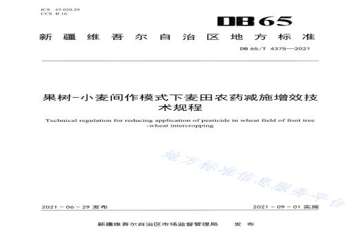 果树-小麦间作模式下麦田农药减施增效技术规程DB65／T 4375-2021.pdf