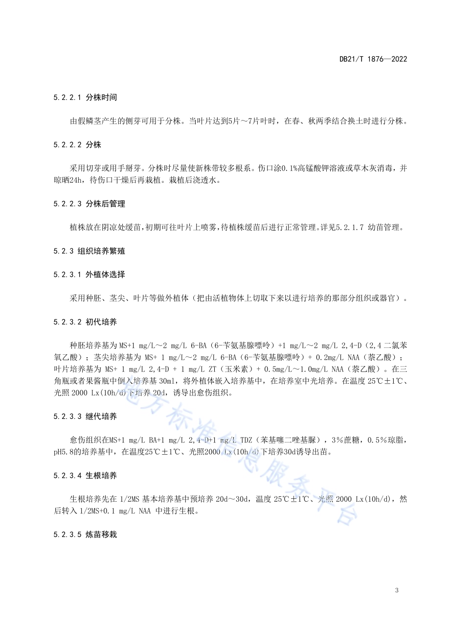君子兰栽培技术规程DB21／T 1876-2022.pdf_第5页