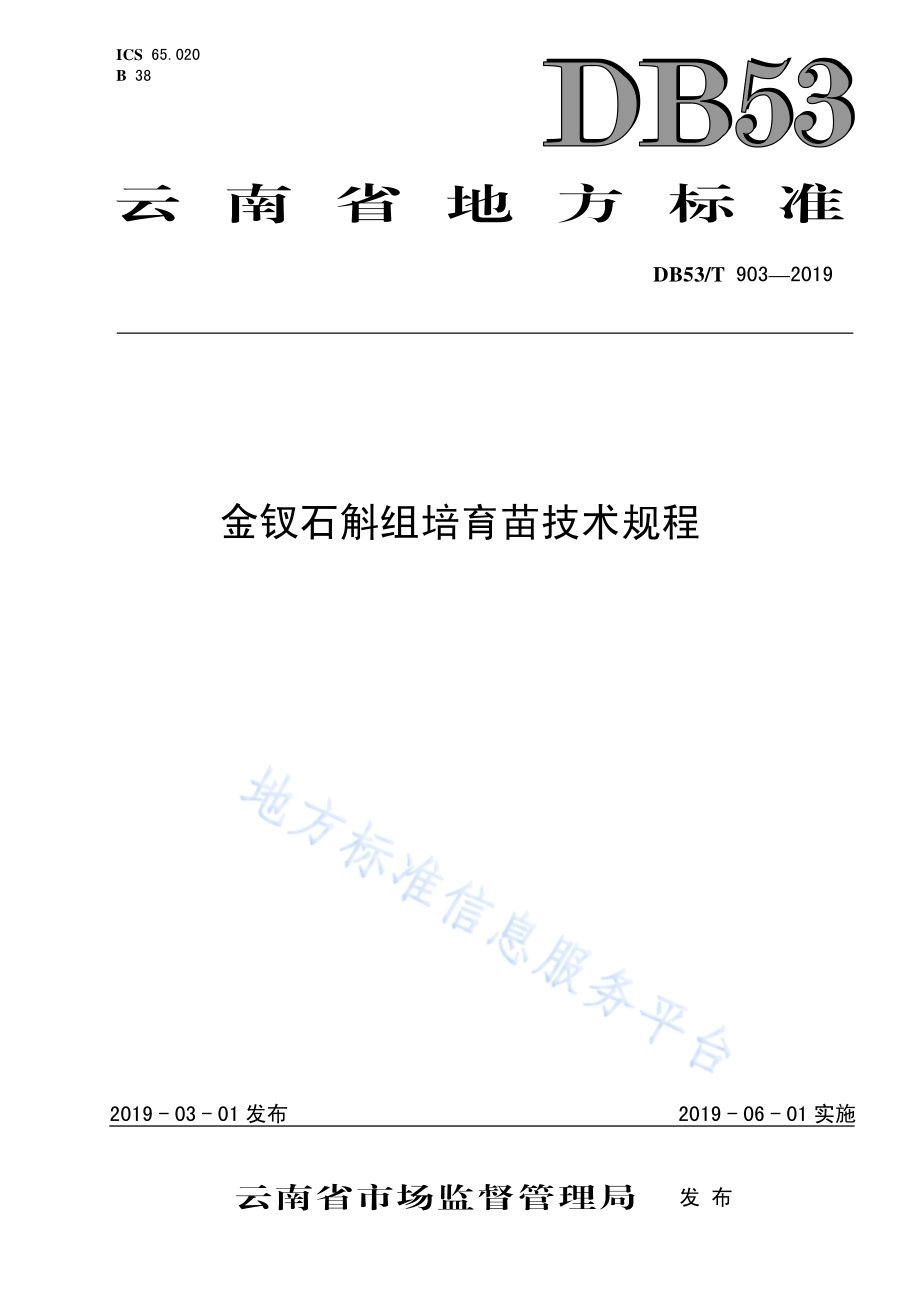 金钗石斛组培育苗技术规程DB53／T 903-2019.pdf_第1页