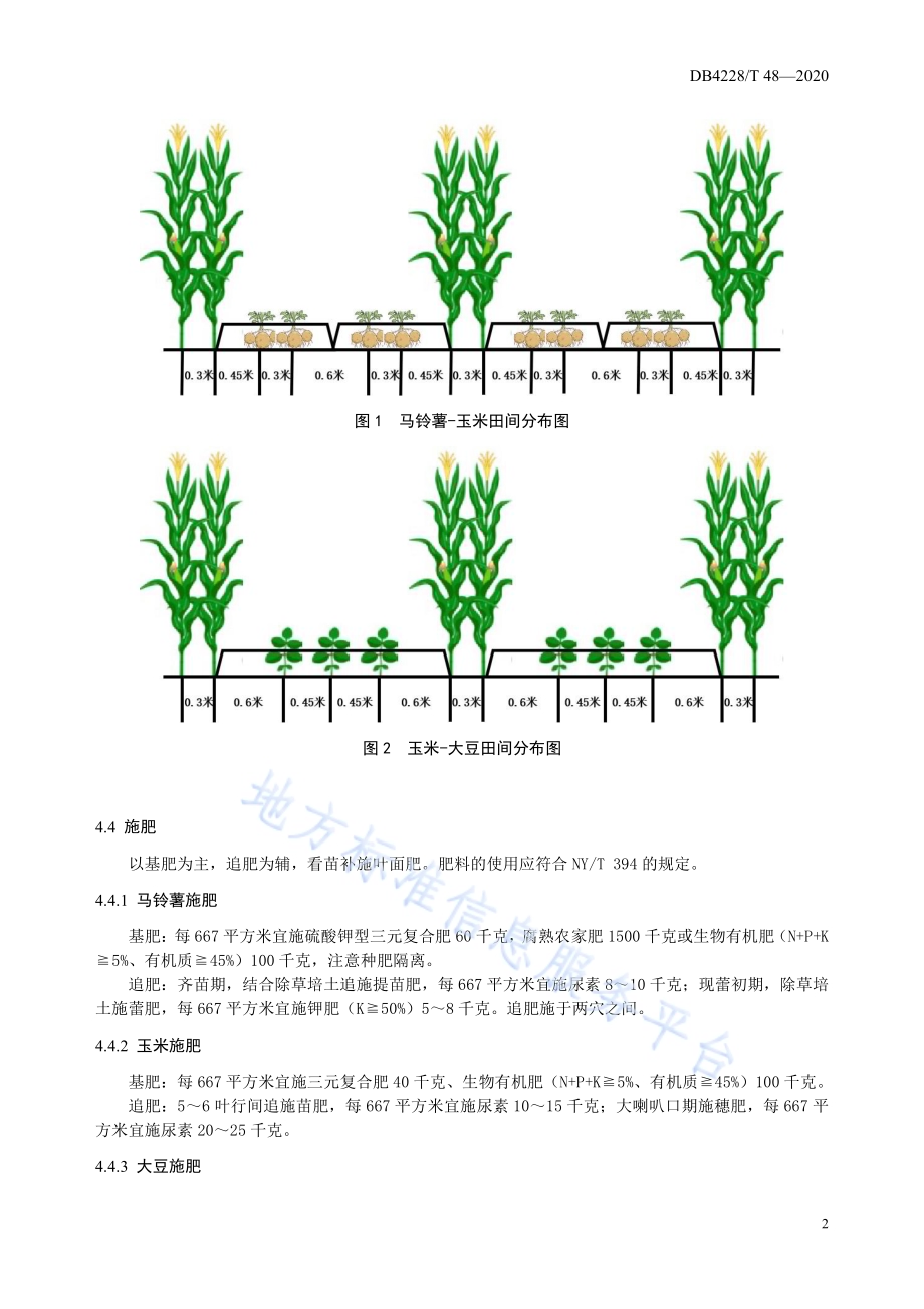 马铃薯-玉米-大豆复合种植模式技术规程DB4228／T 48-2020.pdf_第4页