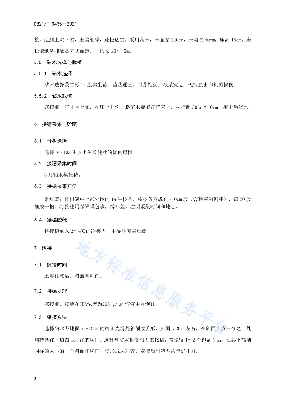 蒙古栎嫁接育苗技术规程DB21／T 3435—2021.pdf_第5页