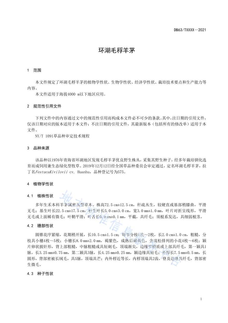 环湖毛稃羊茅DB63／T 1919-2021.pdf_第3页