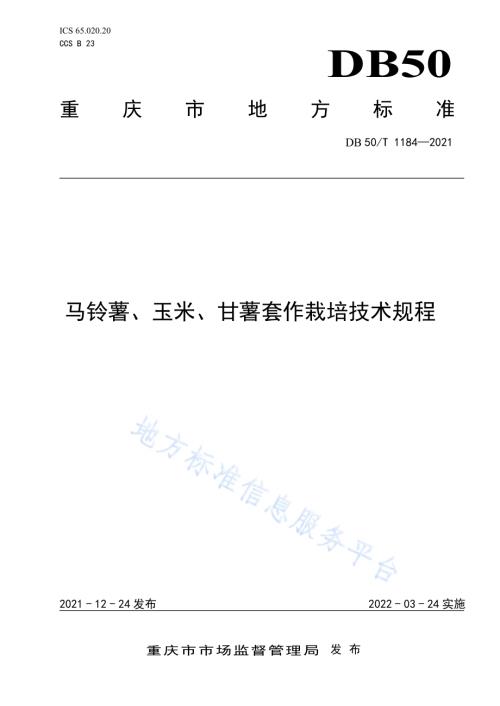 马铃薯、玉米、甘薯套作栽培技术规程DB50／T 1184-2021.pdf