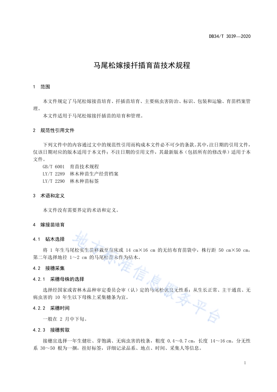 马尾松嫁接扦插育苗技术规程DB34／T 3039-2020.pdf_第5页