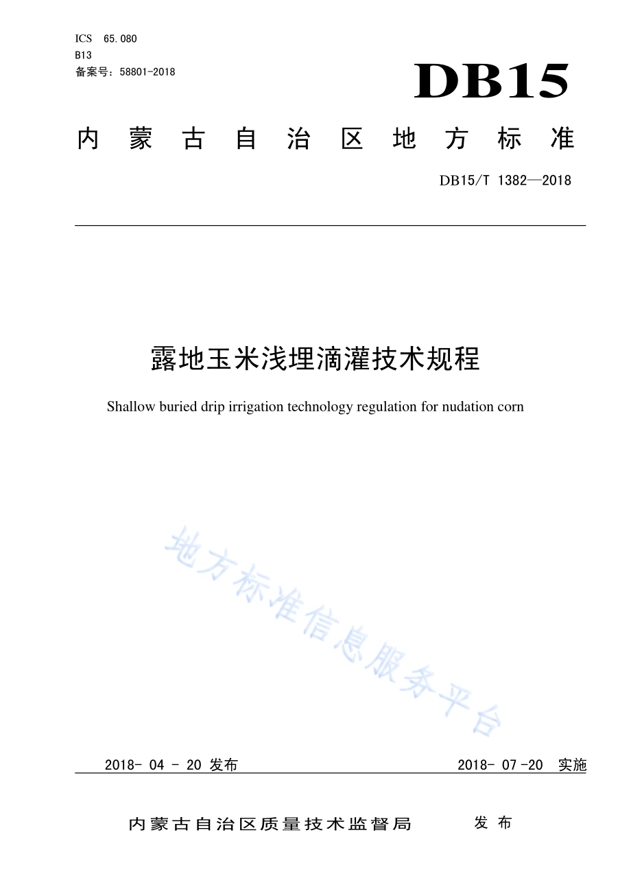 露地玉米浅埋滴灌技术规程DB15／T 1382-2018.pdf_第1页