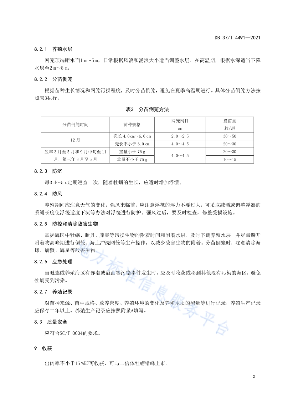 三倍体单体牡蛎浅海筏式养殖技术规范DB37／T 4491—2021.pdf_第5页